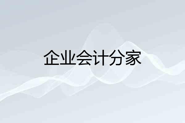 企业会计分家
