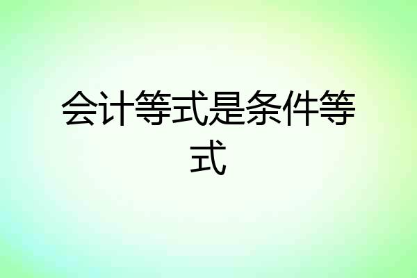 会计等式是条件等式