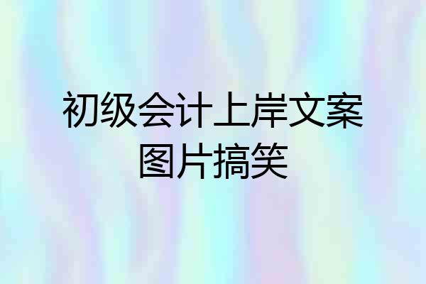初级会计上岸文案图片搞笑