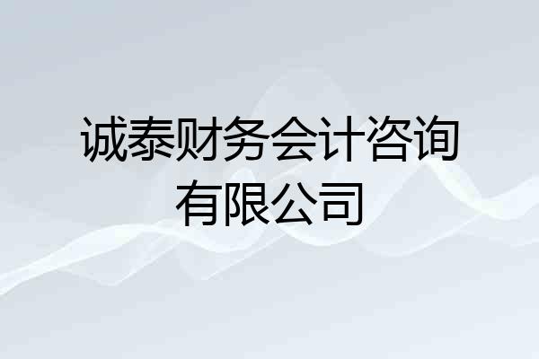 诚泰财务会计咨询有限公司