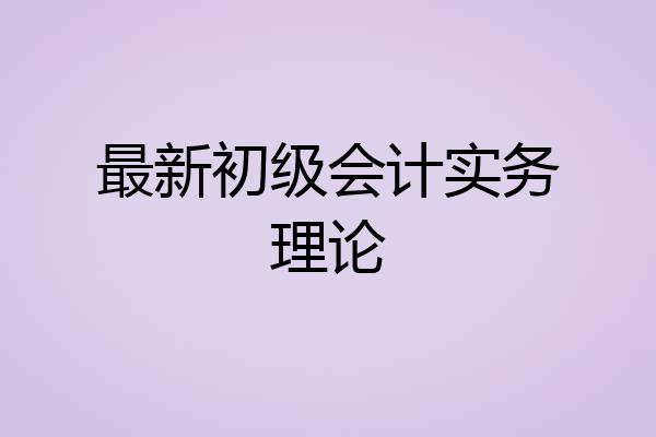 最新初级会计实务理论