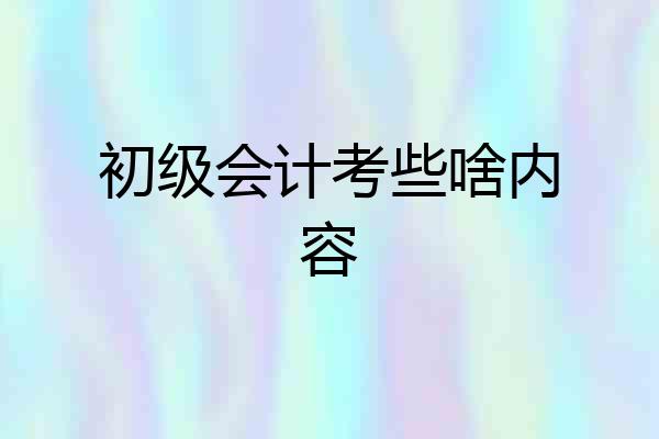 初级会计考些啥内容
