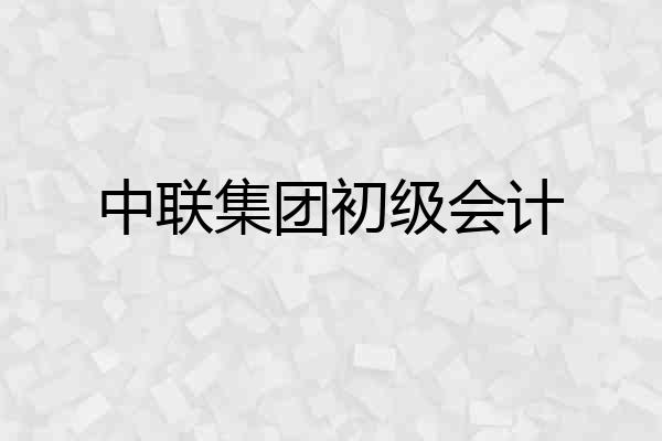 中联集团初级会计