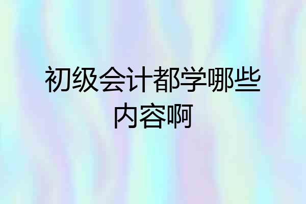初级会计都学哪些内容啊