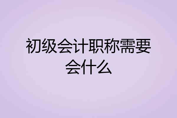 初级会计职称需要会什么