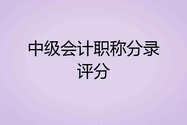 中级会计职称分录评分