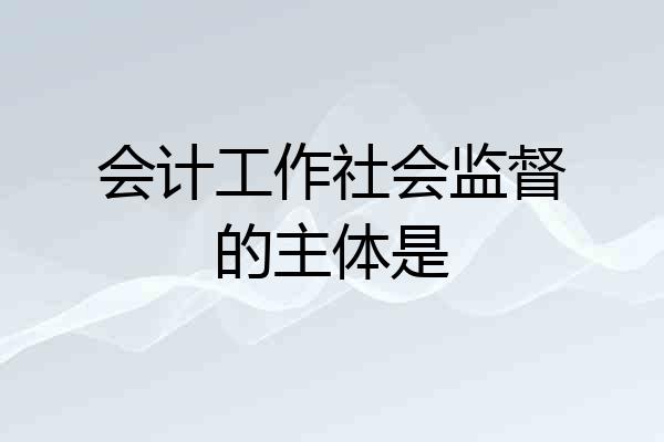 会计工作社会监督的主体是