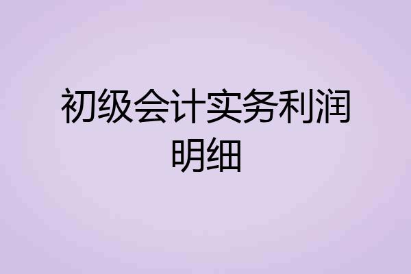 初级会计实务利润明细