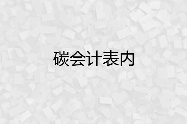 碳会计表内