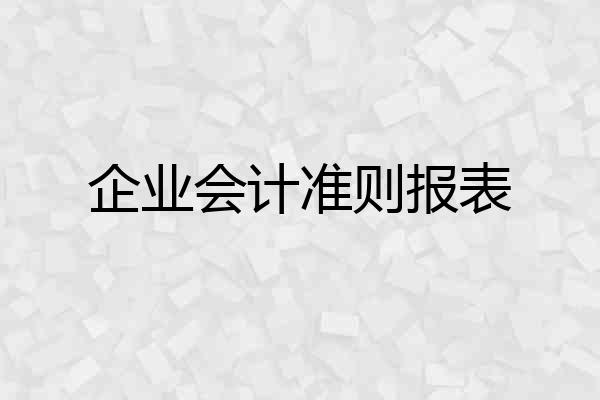 企业会计准则报表