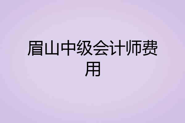 眉山中级会计师费用