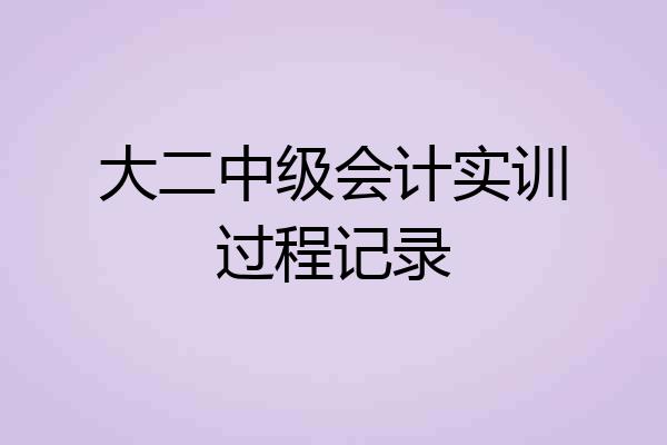 大二中级会计实训过程记录