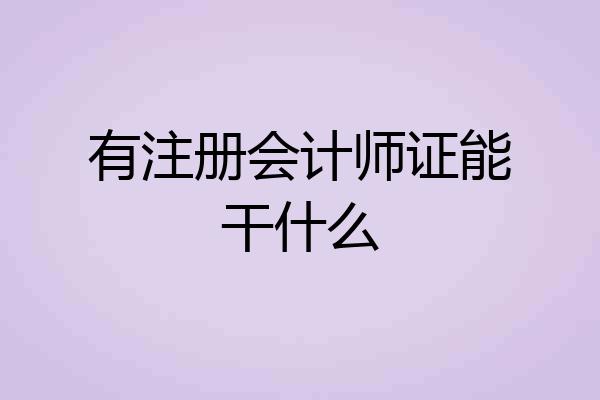 有注册会计师证能干什么