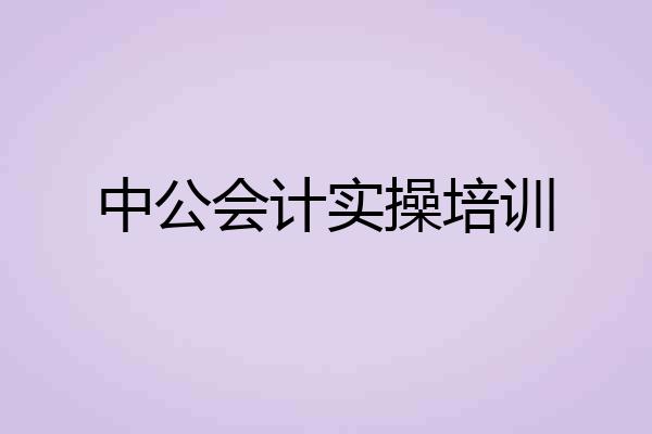 中公会计实操培训