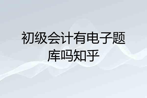 初级会计有电子题库吗知乎