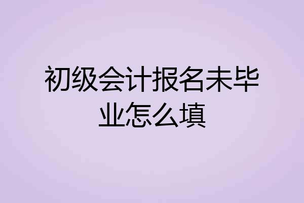 初级会计报名未毕业怎么填
