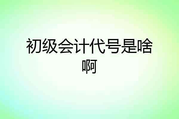 初级会计代号是啥啊