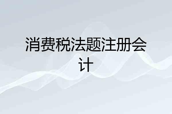 消费税法题注册会计