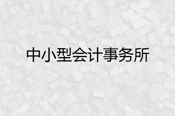 中小型会计事务所