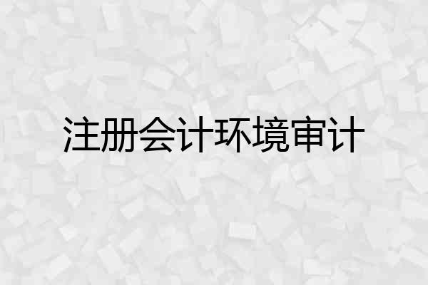 注册会计环境审计