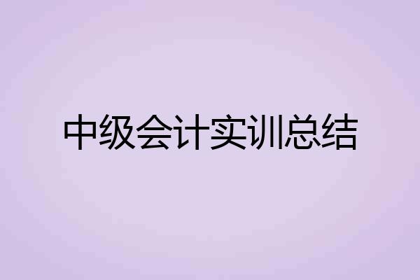 中级会计实训总结