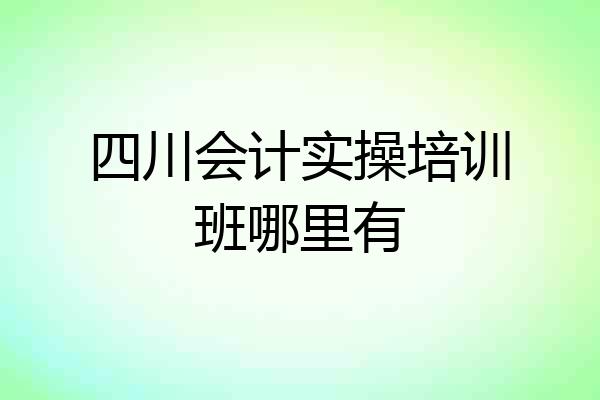 四川会计实操培训班哪里有