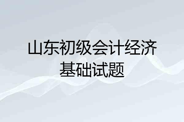 山东初级会计经济基础试题