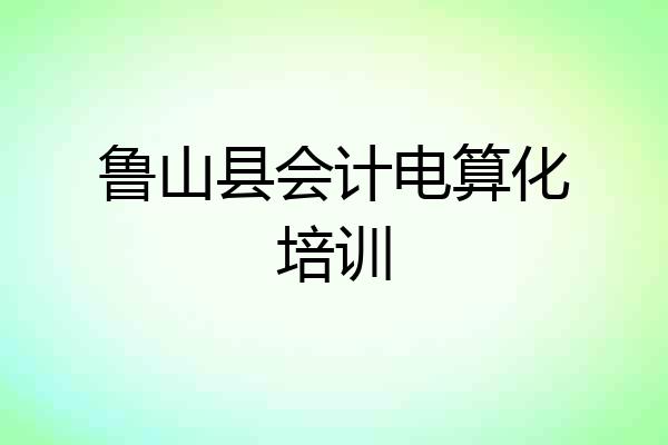 鲁山县会计电算化培训