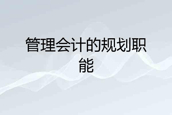 管理会计的规划职能