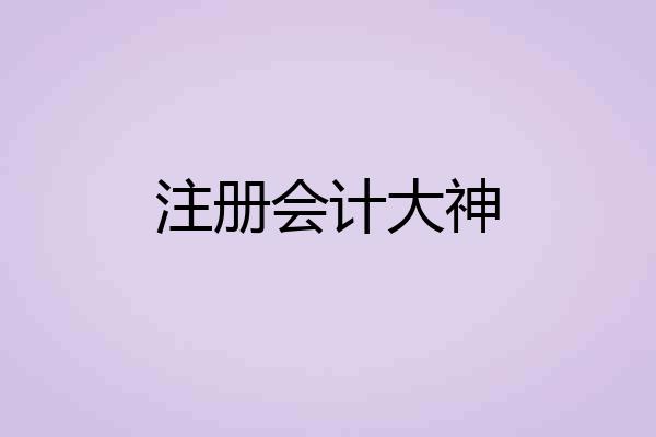 注册会计大神