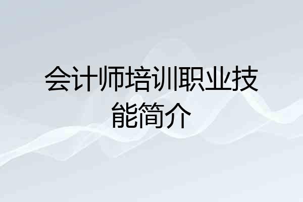 会计师培训职业技能简介