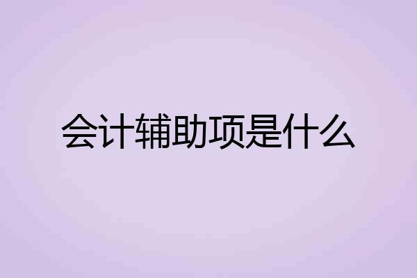 会计辅助项是什么