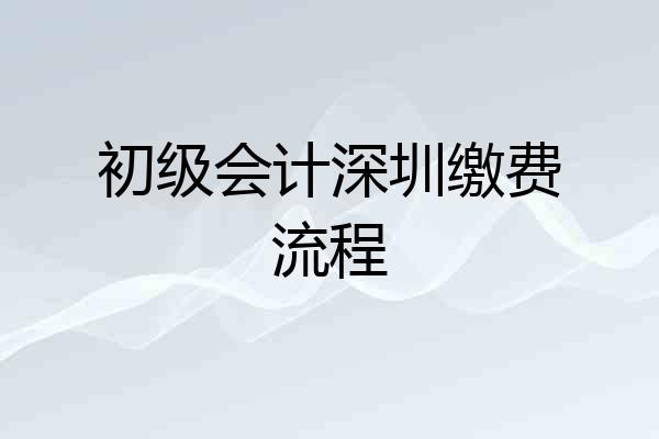 初级会计深圳缴费流程