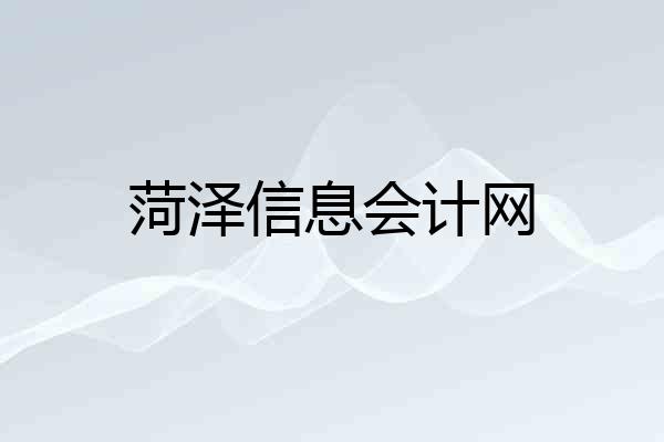 菏泽信息会计网