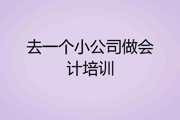 去一个小公司做会计培训
