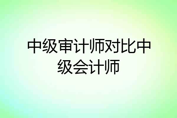 中级审计师对比中级会计师