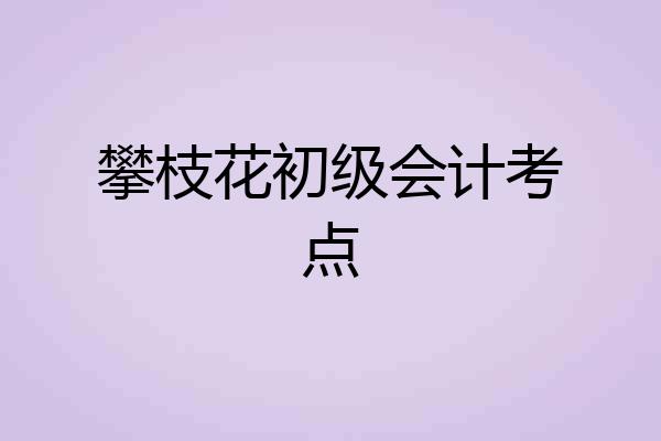 攀枝花初级会计考点