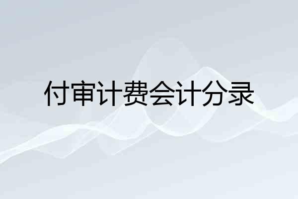 付审计费会计分录