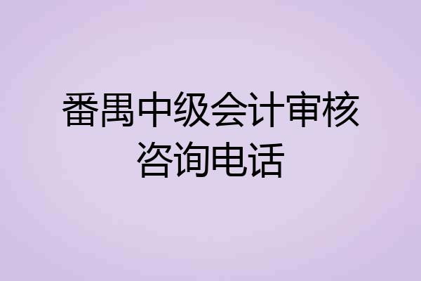 番禺中级会计审核咨询电话