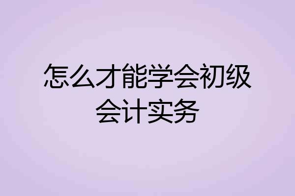 怎么才能学会初级会计实务
