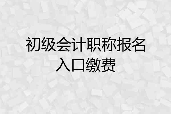 初级会计职称报名入口缴费