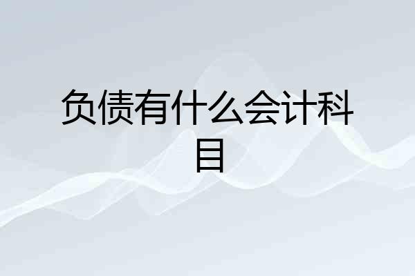 负债有什么会计科目