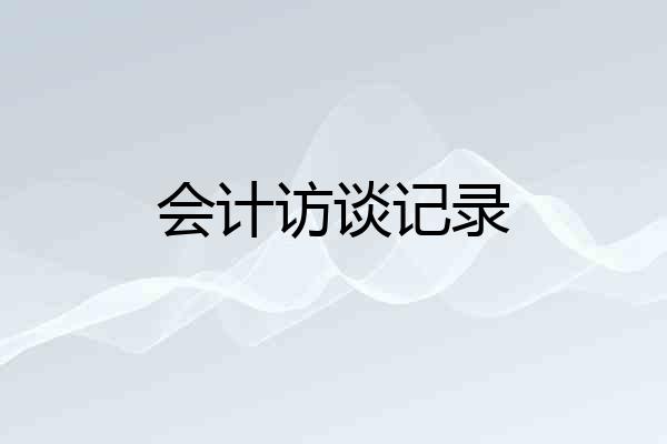会计访谈记录