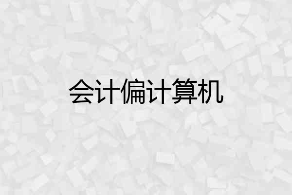 会计偏计算机