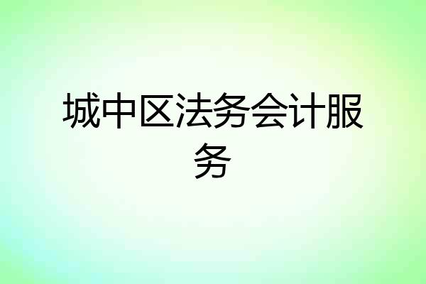 城中区法务会计服务