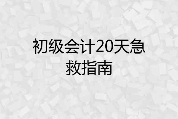 初级会计20天急救指南