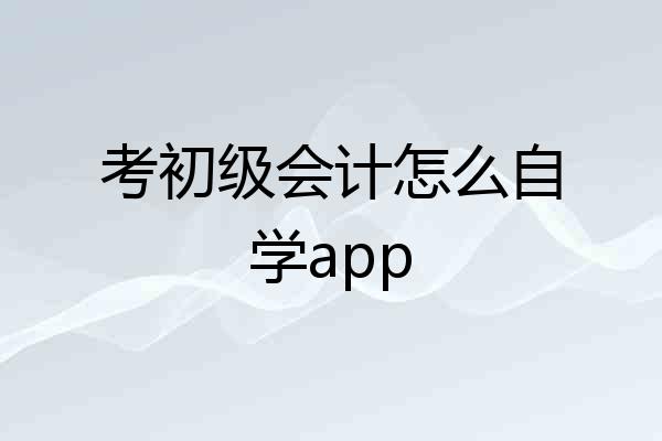 考初级会计怎么自学app