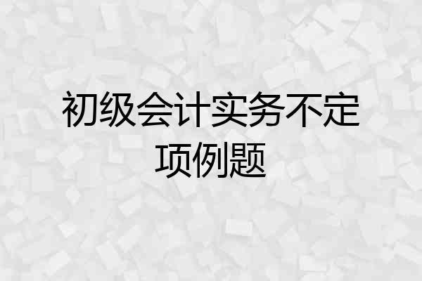 初级会计实务不定项例题