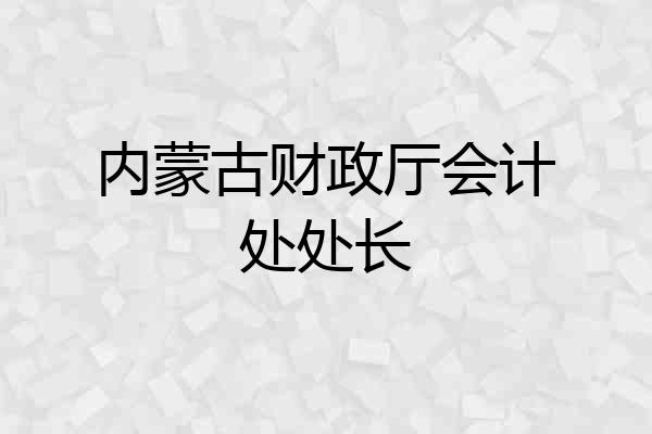 内蒙古财政厅会计处处长