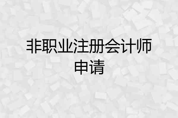 非职业注册会计师申请